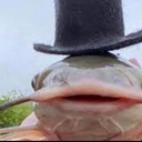 Avatar of user WillowTheFish