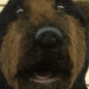 Avatar of user jackhagan8