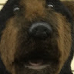 Avatar of user jackhagan8