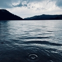 Avatar of user 24_carrot