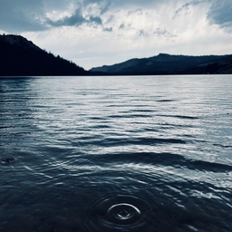 Avatar of user 24_carrot