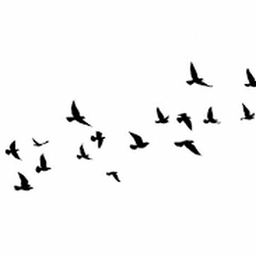 Avatar of user lulwork