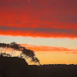 Avatar of user Nightfever21