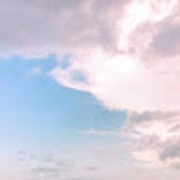 Avatar of user testop