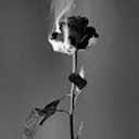 Avatar of user Anethesia