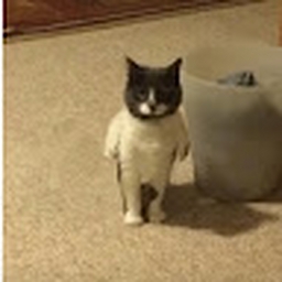 Avatar of user Urinweoski