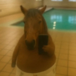 Avatar of user make ponk Bela pfp?????:O