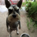 Cover of album best of niklasrs by niklasrs