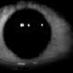 Avatar of user coolpetrock