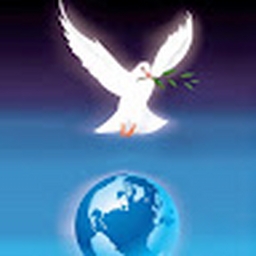 Avatar of user Grayr1981