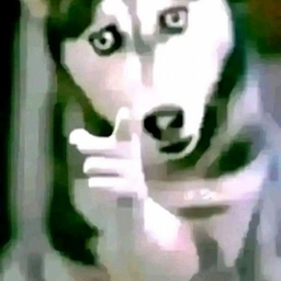 Avatar of user sinnsterandtramaticontent