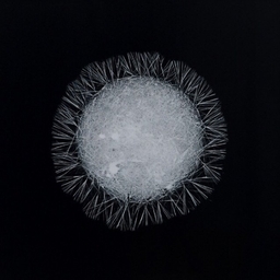 Avatar of user vsevolodson