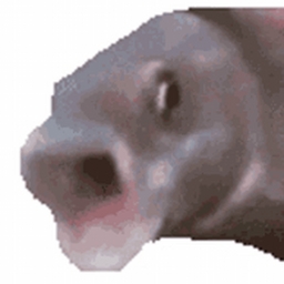 Avatar of user ZBoyN