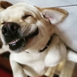 Avatar of user iris1298