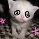 Avatar of user sparkZ34