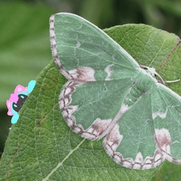 Avatar of user WAV30