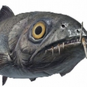 Avatar of user dojur-doryl