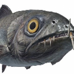 Avatar of user dojur-doryl