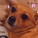 Avatar of user kjsfsdsdd