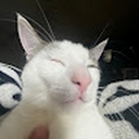 Avatar of user smisktaker