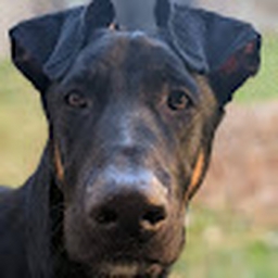 Avatar of user grien_gapbandclassice