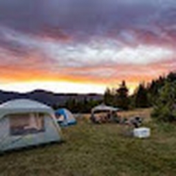 Avatar of user orangepear