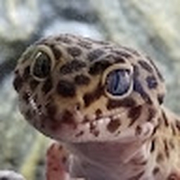 Avatar of user Jayfizzie