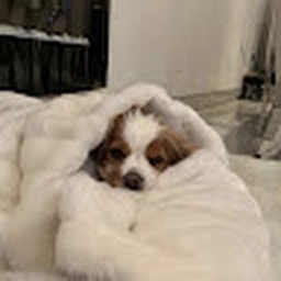 Avatar of user Jaylin2012