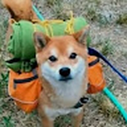 Avatar of user PunkRatinaBlanket