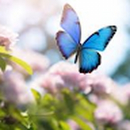 Avatar of user Snoopy123