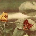 Avatar of user WAV30