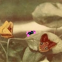 Avatar of user WAV30