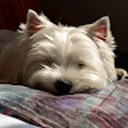 Avatar of user aitor234