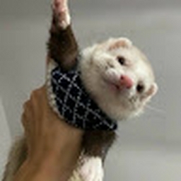 Avatar of user emabout