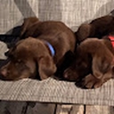 Avatar of user Antacid123