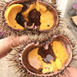 Avatar of user duble0h7