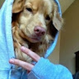 Avatar of user abishkartheGoat