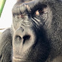 Avatar of user noj1130