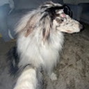 Avatar of user arlo_s