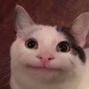 Avatar of user Cperrin