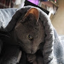 Avatar of user Jakwkaka