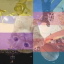 Avatar of user NotJerri