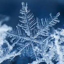 Avatar of user snowflake36