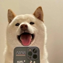 Avatar of user JakeTange