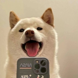 Avatar of user JakeTange