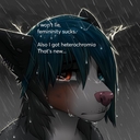 Avatar of user yito ☮