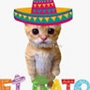 Avatar of user samuel1434679