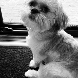 Avatar of user ajkruse1015