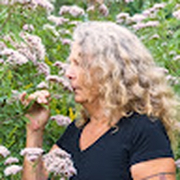 Avatar of user Tathaka