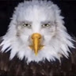 Avatar of user abuelas